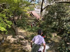 -中国茶叶博物馆(双峰馆区)