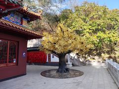 -青岩寺风景区