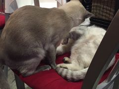 -MIKAKU(万达广场上海宝山店)