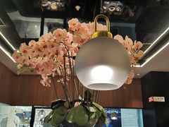 -新白鹿餐厅(金鹰新街口店)