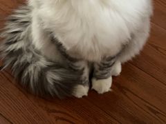 -贝康宠物医院·犬猫全科·小动物特色诊疗中心(东环路店)