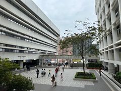 -香港大学