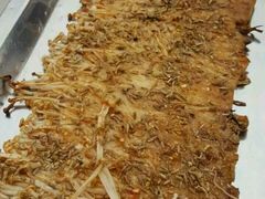 -玉园烧烤·海鲜辣炒