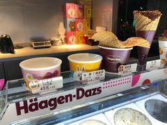 -哈根达斯(西安高新店)
