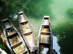 -三峡人家风景区
