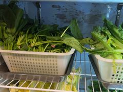 -金鼎雪山牦牛杂火锅(理县总店)