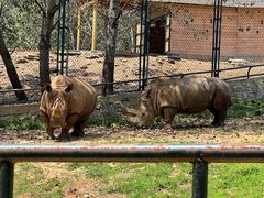 -大连森林动物园