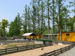 -前小桔亲子创意农场·草莓采摘·露营烧烤