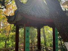 -北极阁公园