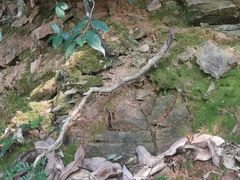 -小格里自然风景区