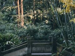-望江楼公园