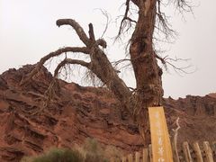 -新疆天山托木尔景区·大峡谷