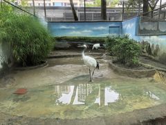-成都动物园