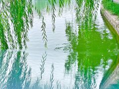 -朝阳公园
