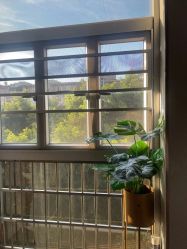 -恒悦贝贝月子会所(海珠店)