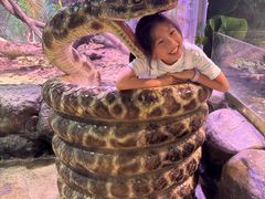 -正佳雨林生态植物园