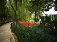 -大兴滨河森林公园