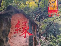-杭州黄龙洞