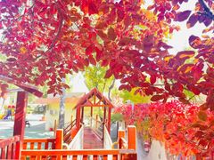 -红黄蓝幼儿园(颐东苑店)