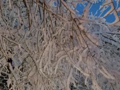 -沈阳奥体冰雪嘉年华