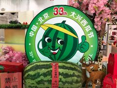 -西瓜小镇