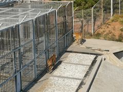-大青山野生动物园