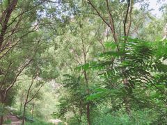 -碓臼峪自然风景区