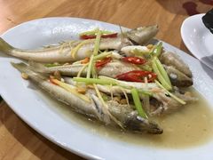 -长平肥姐白粥·海鲜打冷