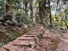 -广州市帽峰山景区