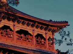 -红山公园