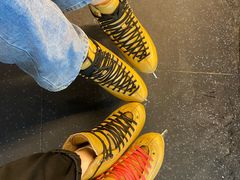 -世界之窗阿尔卑斯冰雪世界