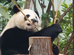 -南宁市动物园
