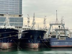 -深圳湾万象城(南山店)