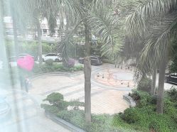 -宝生月子中心·私家园林式(龙华观澜店)