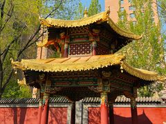 -护国法轮寺