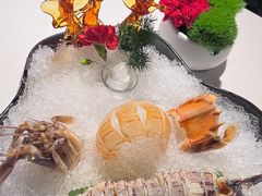 -三号黄浦会Canton Table