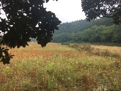 -韶山毛泽东同志故居