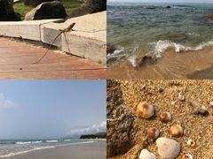 -石梅湾艾美度假酒店