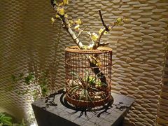 -浅深(北京北四环精品店)
