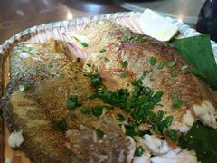 香煎黄花鱼-和记菜馆