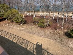 -江滩湿地公园