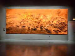 -罗红摄影艺术馆