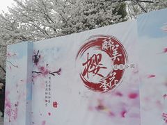 -堤角公园