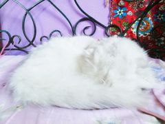 -广州迷途主题旅馆(海珠广场店)