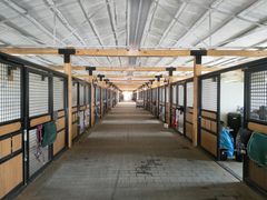 -北京群众马术培训基地