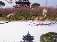 -上海海湾国家森林公园