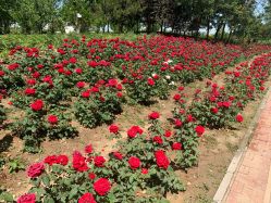 -圣露庄园·草坪婚礼·宴会厅·会议