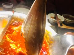-湊湊火锅·茶憩(石家庄万象城店)