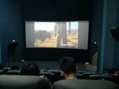 -幸福蓝海国际影城(崇安寺T12店)