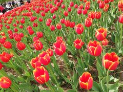 -长春公园(普阳街道)